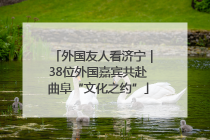 外国友人看济宁｜38位外国嘉宾共赴曲阜“文化之约”