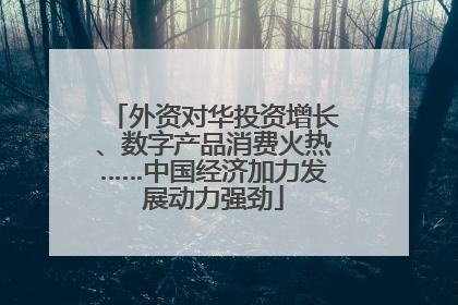 外资对华投资增长、数字产品消费火热……中国经济加力发展动力强劲