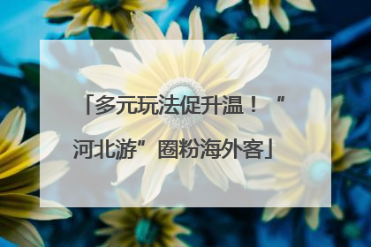 多元玩法促升温！“河北游”圈粉海外客