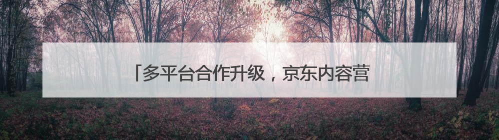 多平台合作升级，京东内容营销生态持续深化种收协同效率