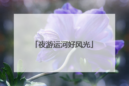 夜游运河好风光