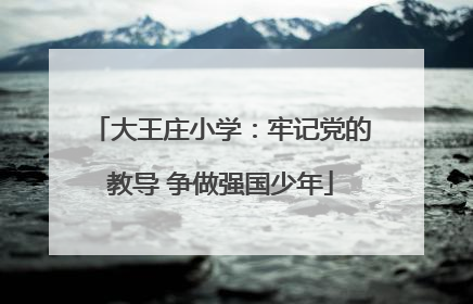 大王庄小学：牢记党的教导 争做强国少年