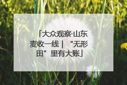 大众观察·山东麦收一线｜“无形田”里有大账