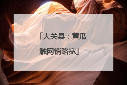 大关县：黄瓜触网销路宽