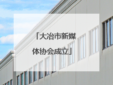 大冶市新媒体协会成立