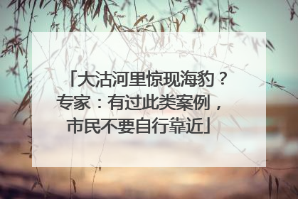 大沽河里惊现海豹？专家：有过此类案例，市民不要自行靠近