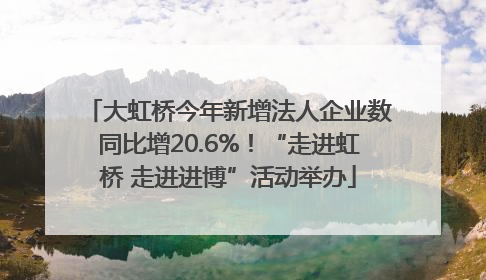 大虹桥今年新增法人企业数同比增20.6%！“走进虹桥 走进进博”活动举办