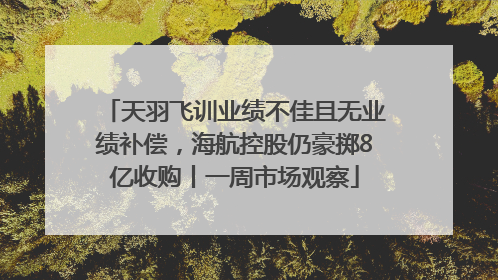 天羽飞训业绩不佳且无业绩补偿，海航控股仍豪掷8亿收购丨一周市场观察
