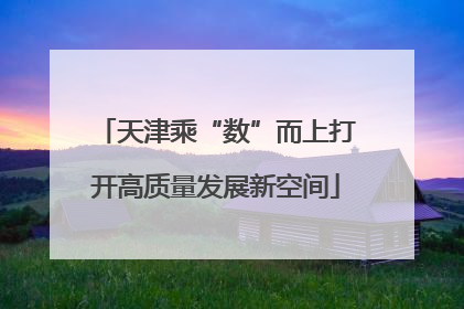 天津乘“数”而上打开高质量发展新空间
