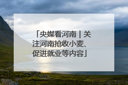 央媒看河南｜关注河南抢收小麦、促进就业等内容