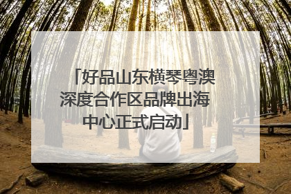 好品山东横琴粤澳深度合作区品牌出海中心正式启动