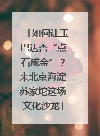 如何让玉巴达杏“点石成金”？来北京海淀苏家坨这场文化沙龙