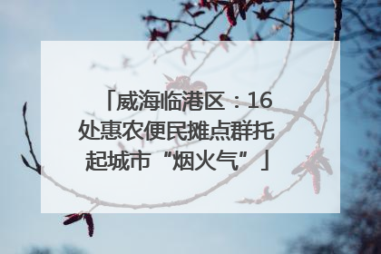 威海临港区：16处惠农便民摊点群托起城市“烟火气”