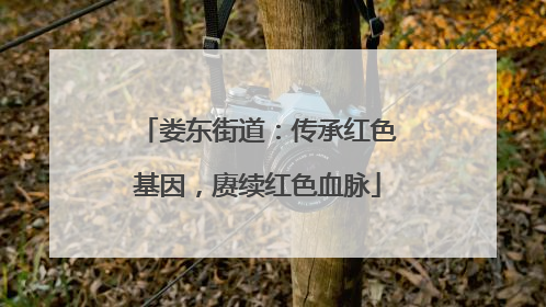 娄东街道：传承红色基因，赓续红色血脉