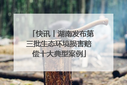 快讯丨湖南发布第三批生态环境损害赔偿十大典型案例