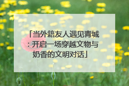 当外籍友人遇见青城：开启一场穿越文物与奶香的文明对话