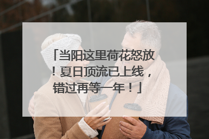 当阳这里荷花怒放！夏日顶流已上线，错过再等一年！