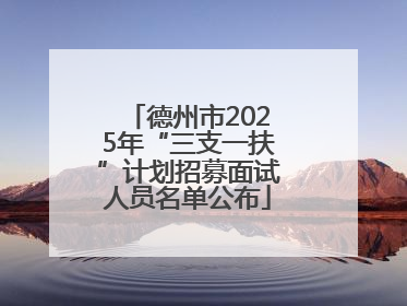 德州市2025年“三支一扶”计划招募面试人员名单公布