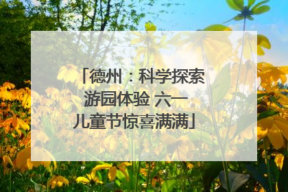 德州：科学探索 游园体验 六一儿童节惊喜满满