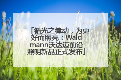 循光之律动，为更好而照亮：Waldmann沃达迈前沿照明新品正式发布
