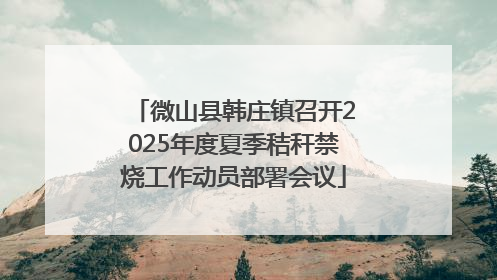 微山县韩庄镇召开2025年度夏季秸秆禁烧工作动员部署会议