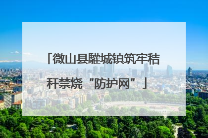 微山县驩城镇筑牢秸秆禁烧“防护网”