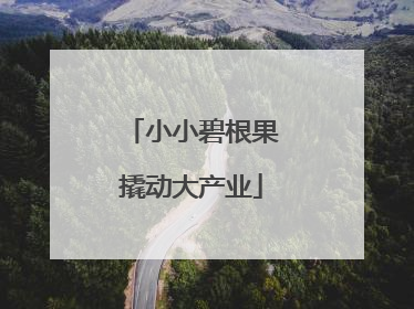 小小碧根果撬动大产业