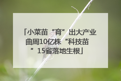 小菜苗“育”出大产业 曲周10亿株“科技苗”15省落地生根