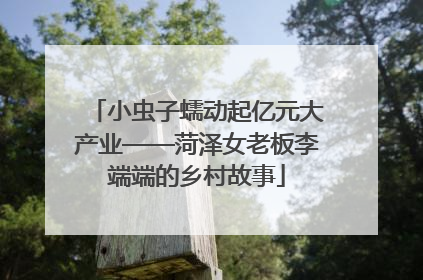 小虫子蠕动起亿元大产业——菏泽女老板李端端的乡村故事