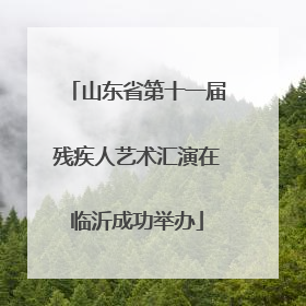 山东省第十一届残疾人艺术汇演在临沂成功举办