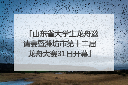 山东省大学生龙舟邀请赛暨潍坊市第十二届龙舟大赛31日开幕