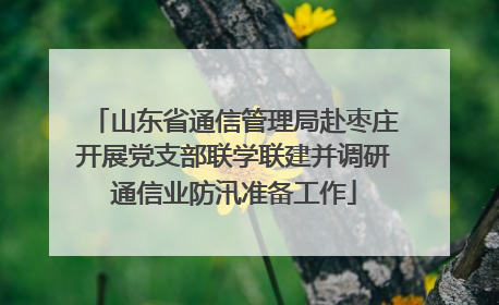 山东省通信管理局赴枣庄开展党支部联学联建并调研通信业防汛准备工作