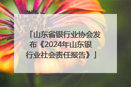 山东省银行业协会发布《2024年山东银行业社会责任报告》