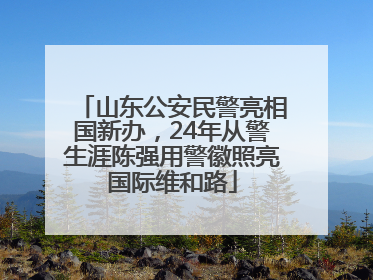 山东公安民警亮相国新办，24年从警生涯陈强用警徽照亮国际维和路