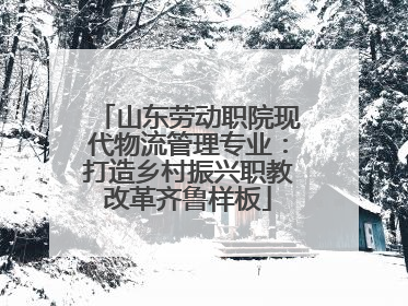 山东劳动职院现代物流管理专业：打造乡村振兴职教改革齐鲁样板