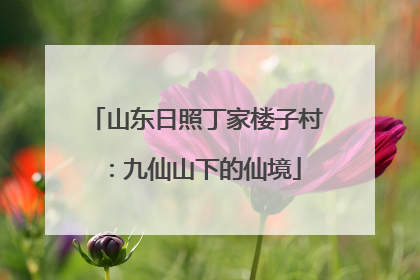 山东日照丁家楼子村：九仙山下的仙境