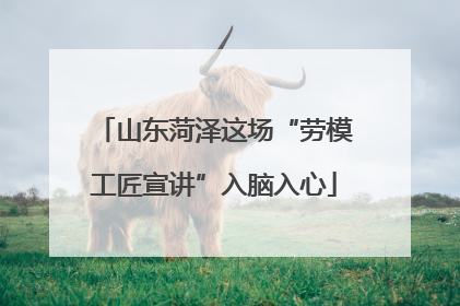 山东菏泽这场“劳模工匠宣讲”入脑入心