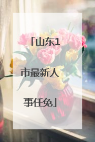 山东1市最新人事任免