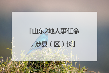山东2地人事任命，涉县（区）长