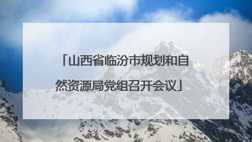 山西省临汾市规划和自然资源局党组召开会议