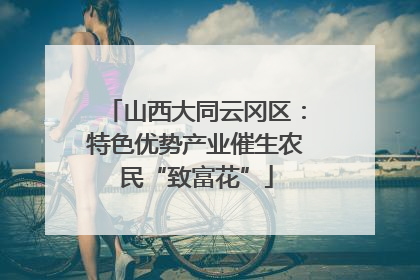 山西大同云冈区：特色优势产业催生农民“致富花”