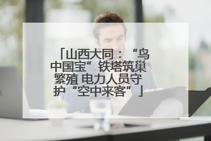 山西大同：“鸟中国宝”铁塔筑巢繁殖 电力人员守护“空中来客”