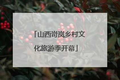 山西岢岚乡村文化旅游季开幕