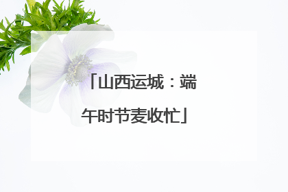 山西运城：端午时节麦收忙
