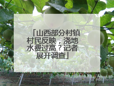 山西部分村镇村民反映，浇地水费过高？记者展开调查