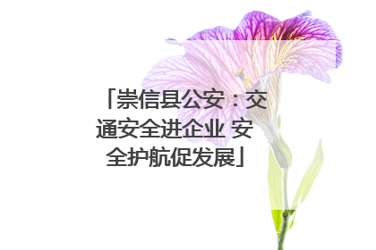 崇信县公安：交通安全进企业 安全护航促发展
