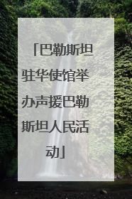 巴勒斯坦驻华使馆举办声援巴勒斯坦人民活动