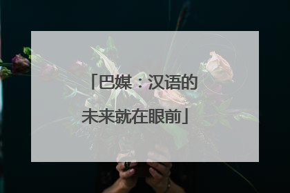巴媒：汉语的未来就在眼前