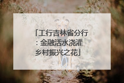 工行吉林省分行：金融活水浇灌 乡村振兴之花