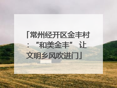 常州经开区金丰村：“和美金丰” 让文明乡风吹进门